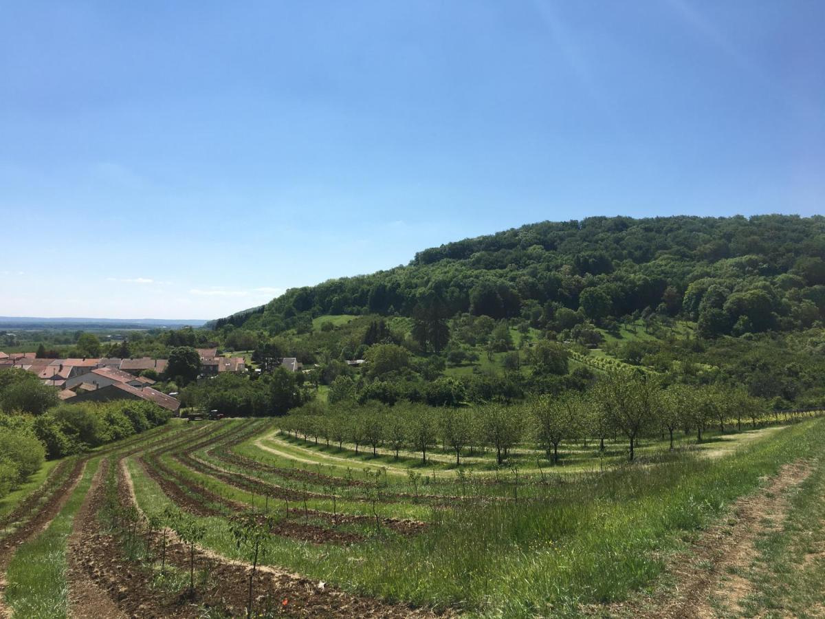 Chambres D'Hotes La Bottee Vieville-sous-les-Cotes Kültér fotó
